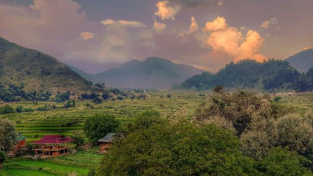 A most beautiful and scenic click of Leepa valley kashmir (lipa Valley) Rice fields surrounded by mountains and walnut trees....leepa valley kashmir jammu and kashmir photos stock pictures, royalty-free photos & images