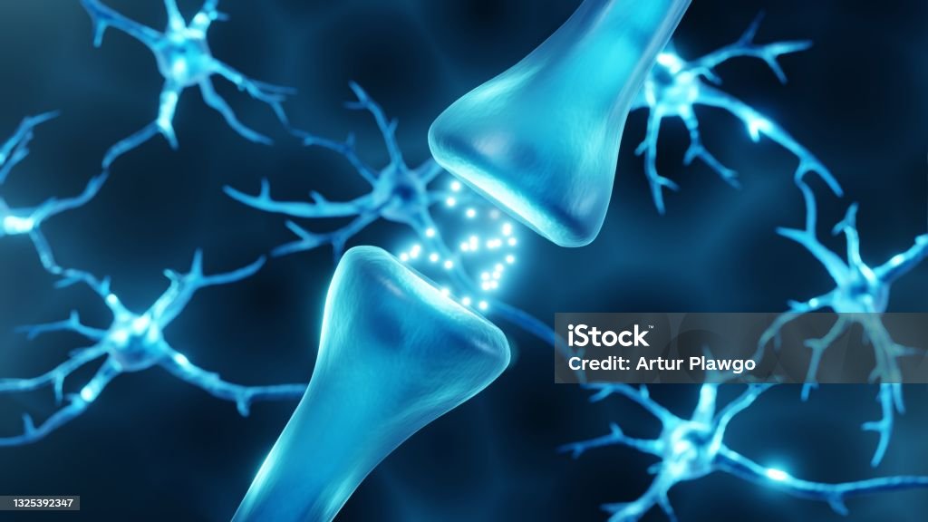 Synapse With Neurons In The Background Stock Photo - Download