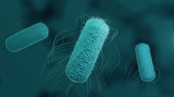 Salmonella are a bacteria responsible for food poisoning, 3d render of microorganism cousing gastrointestinal disease