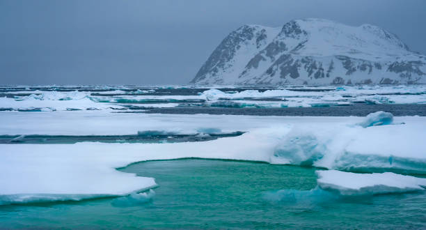 istock Drift floating Ice and Snowcapped Mountains, Arctic, Svalbard, Norway 1325393629