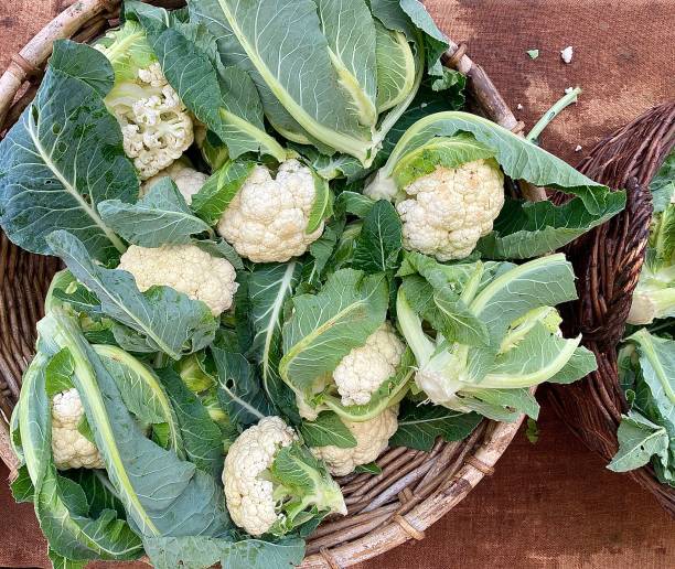 Large Market basket of Organic Cauliflower stock photo