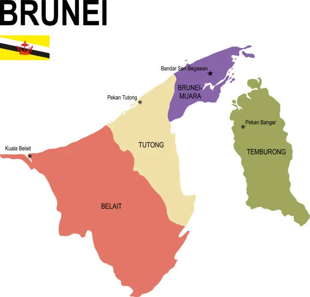 Vector illustration of Brunei colorful flat map with flag