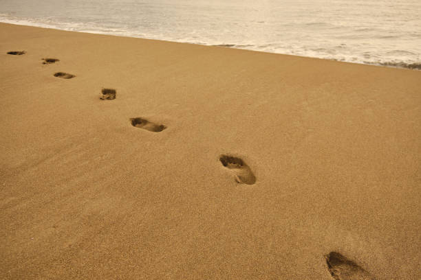 istock Footprints on a sandy beach in early morning 1325398848