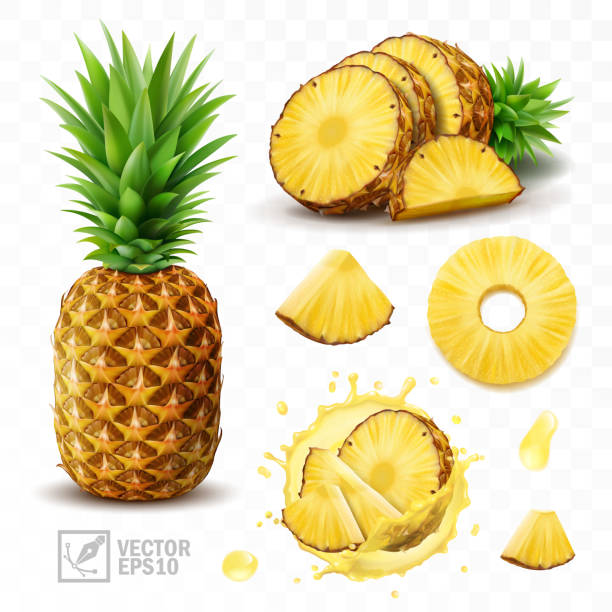 ilustraciones, imágenes clip art, dibujos animados e iconos de stock de 3d realista conjunto vectorial aislado de piña con salpicaduras de jugo, piña entera con hojas y salpicaduras con gotas, rodajas de piña que caen en jugo de piña y trozos con medias - frutas tropicales