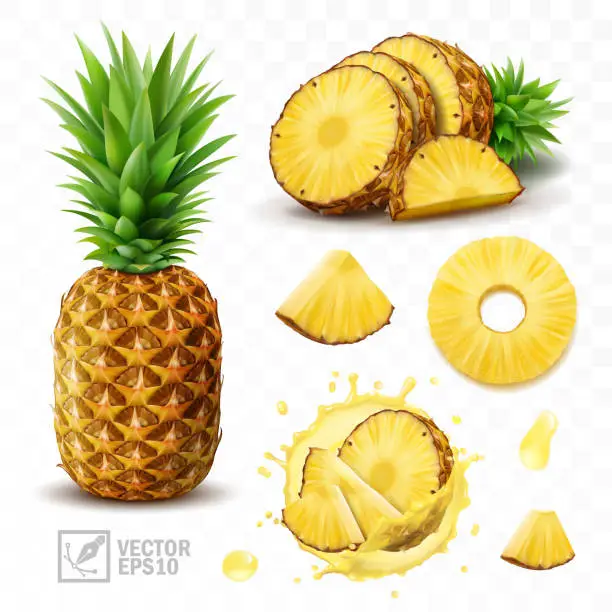 Vector illustration of 3d realistic isolated vector set of pineapple with juice splash, whole pineapple with leaves and splash with drops, falling pineapple slices in pineapple juice and pieces with a half