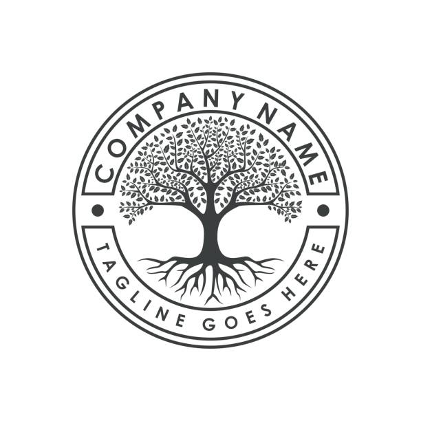 drzewo genealogiczne znaczek życia pieczęć pieczęć logo inspiracji projekt - tree root family tree family stock illustrations