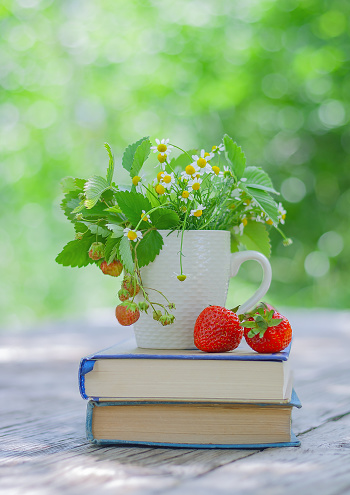 red strawberries and a cup with flowers and leaves from a bush of strawberries on a stack of books on a table in the garden