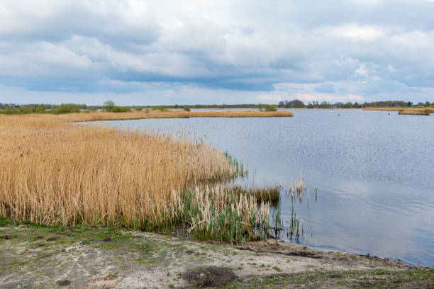istock Nature park Blauwestad Groningen in the Netherlands 1325408480