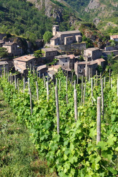 Malleval Loire Rhone Valley Auvergne Rhône Alpes Vineyard Traditional village of Malleval Loire Rhone Valley Auvergne Rhône Alpes valence drôme stock pictures, royalty-free photos & images