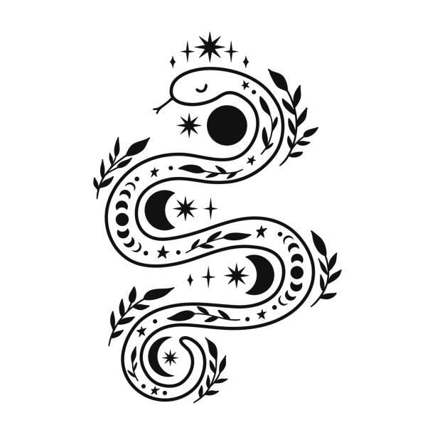 Mystical snake with moon phases and floral elements. Mystical snake with moon phases and floral elements. Celestial tattoo design. Boho esoteric vector illustration isolated in linear style on white background. Magical reptile outline alchemy symbol. simple snake tattoo drawings stock illustrations