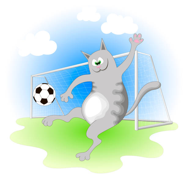 cheerful gray cat playing football - fußballkatze 幅插畫檔、美工圖案、卡通及圖標