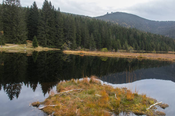 istock The lake Arber in Fall, forest arount 1325418352