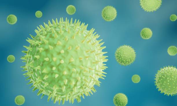 Pollen grains in the air