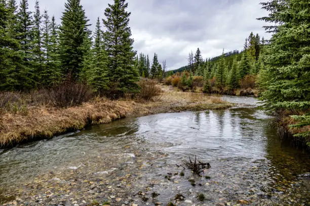 Photo of Elk Creek as summer turns to fall. Elk Creek Provincial Recreation Area, Alberta, Canada