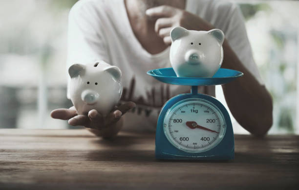 pig piggy bank concept earning money with business people weighing stock photo