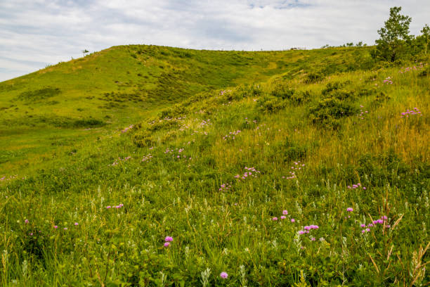 istock A look into he valley, Glenbow Ranch Provincial Recreation Area, Alberta, Canada 1325422428