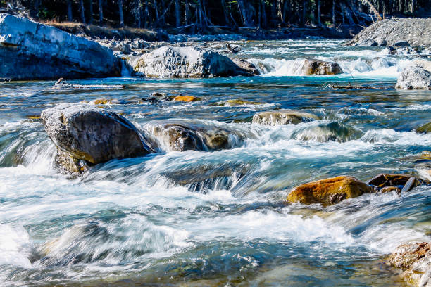 Fast flowing water rushes over the falls in summer. Elbow Falls Provincial Recreation Area, Alberta, Canada