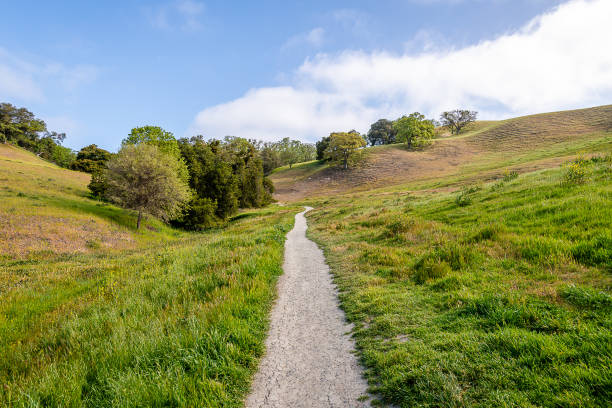 Mt. Diablo State Park Hiking in Mt. Diablo State Park contra costa county stock pictures, royalty-free photos & images