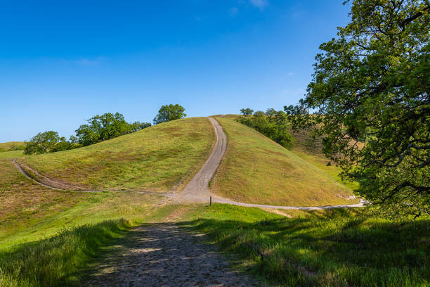 ディアブロ山州立公園 - mt diablo state park ストックフォトと画像