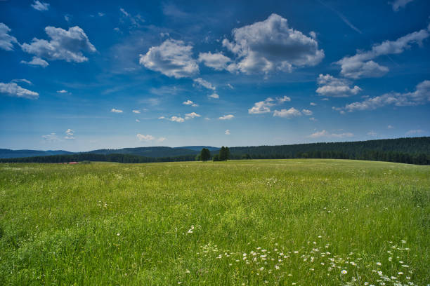 istock Neustadt am Rennsteig in Thuringia 1325425370