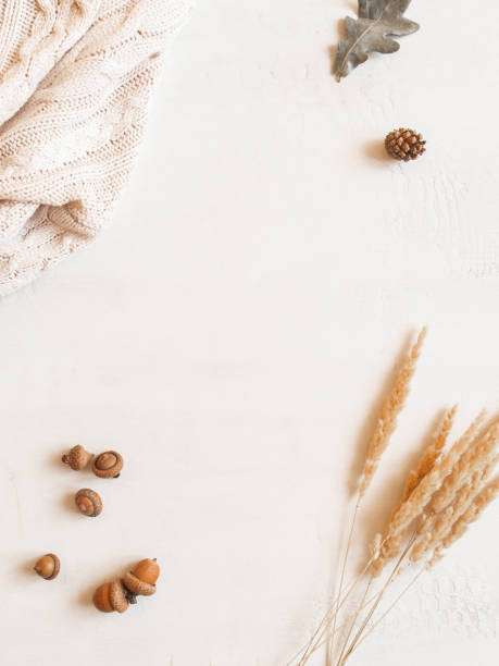 istock Frame from sweater, fall leaf and acorns, dry glass bouquet on white background 1325426300