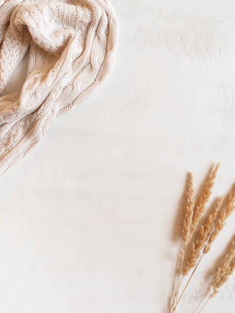 istock Frame from knitted, woolen sweater and dry glass bouquet on white background 1325426307