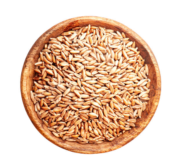 istock Spelt grains in wooden plate 1325430112