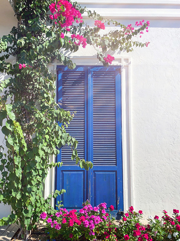BODRUM, TURKEY. Pink bougainvillea flowers and old blue door on white house in Bodrum. Traditional Bodrum House.