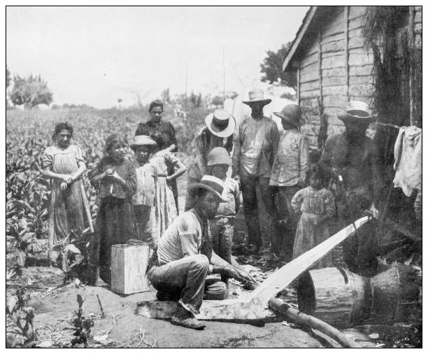 Antique black and white photograph: Manufacturing a plough, Cuba Antique black and white photograph of people from islands in the Caribbean and in the Pacific Ocean; Cuba, Hawaii, Philippines and others: Manufacturing a plough, Cuba cuban ethnicity photos stock illustrations
