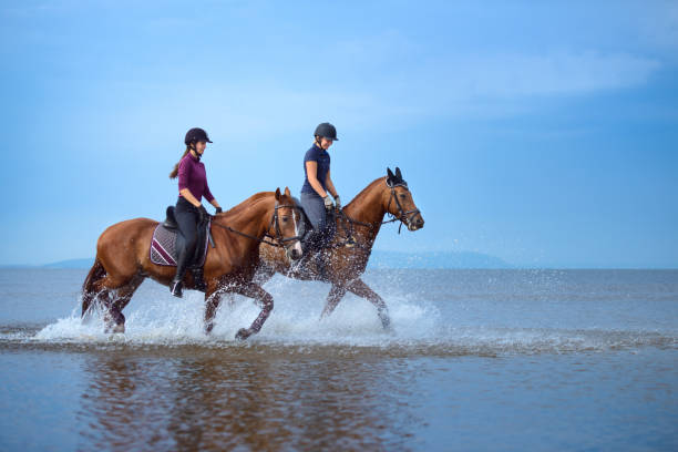 早朝にビーチで海岸線に馬に乗って女の子 - riding horse for leisure ストックフォトと画像