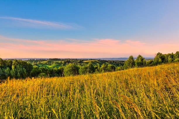 istock Pink sunset over mountain summer meadow 1325439976