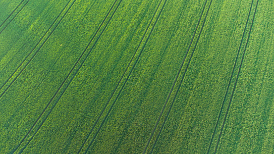 aerial view of fields, agricultural landscape, foto taken with a drone
