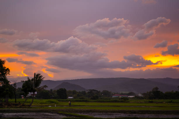 istock Sky sunset in rural beautiful landscape view 1325441361