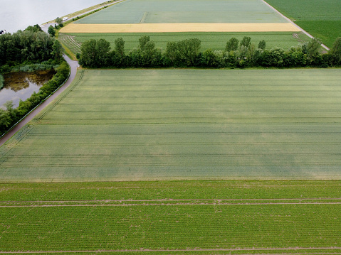 This is an aerial view of an agricultural field with grain planted in spring in Bavaria