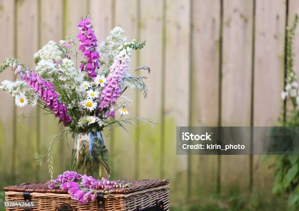 Wildflower Bouquet Om A Picnic Basket Stock Photo - Download Image Now - Foxglove, Vase, Backgrounds