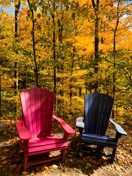 istock Autumn forest pathway at Kortright Centre Conservation, Woodbridge, Vaughan, Canada 1325452240