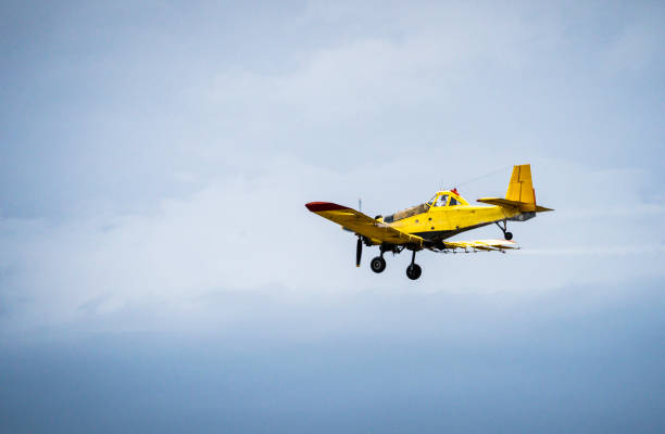 the plane is in the air - wheel airplane landing air vehicle imagens e fotografias de stock