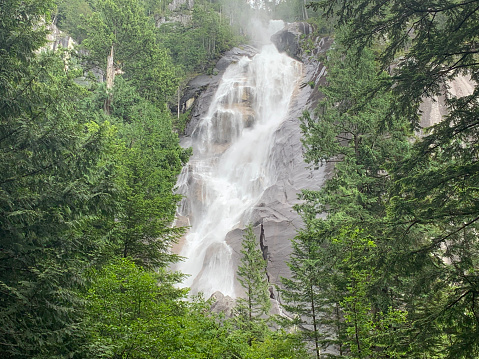 The powerful Shannon Falls waterfall in between the trees