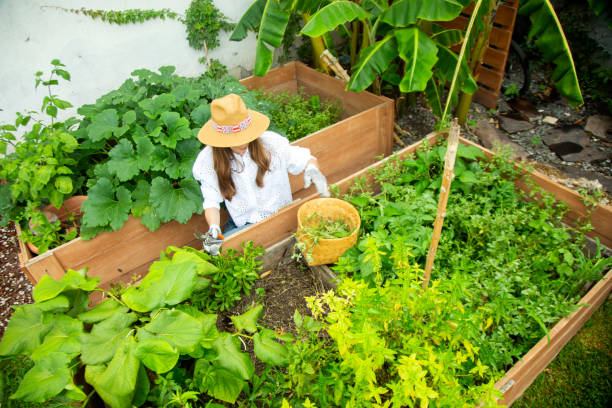 istock Woman working in the home garden 1325456668