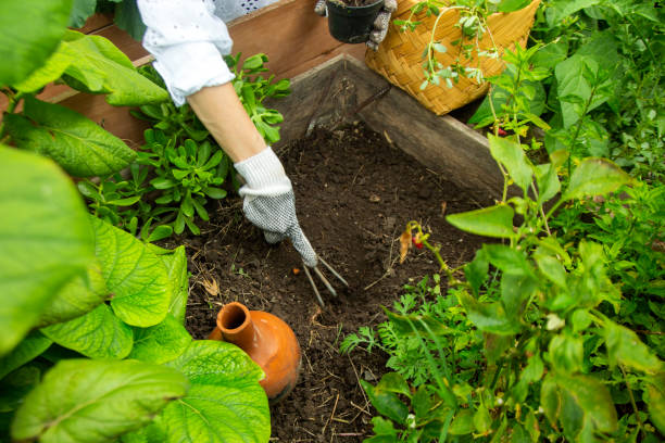 istock Woman working in the home garden 1325456737