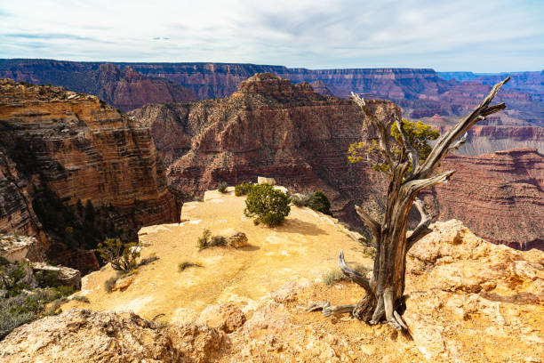 istock Grand Canyon landscape 1325457883