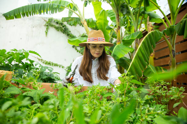 istock Woman working in the home garden 1325457909