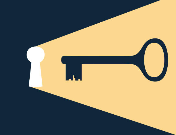 ilustraciones, imágenes clip art, dibujos animados e iconos de stock de ojo de cerradura con ilustración vectorial plana de clave dorada sobre fondo oscuro - llave objetos de seguridad