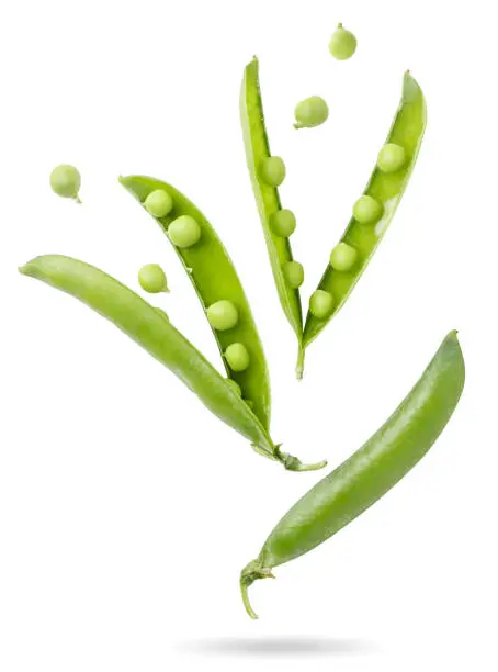 Young green pea pods are flying close-up on a white background. Isolated