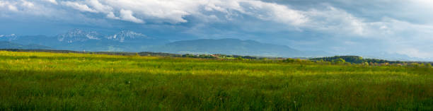 istock Bavarian landscape in summer 1325463842