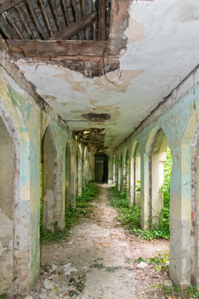 The abandoned Fernbach Castle, also known as Baba Pusta, was built in 1906 by Karol Fernbach for his own needs. Aleksa Santic, Serbia - June 06, 2021: The abandoned Fernbach Castle, also known as Baba Pusta, was built in 1906 by Karol Fernbach for his own needs. pusta stock pictures, royalty-free photos & images