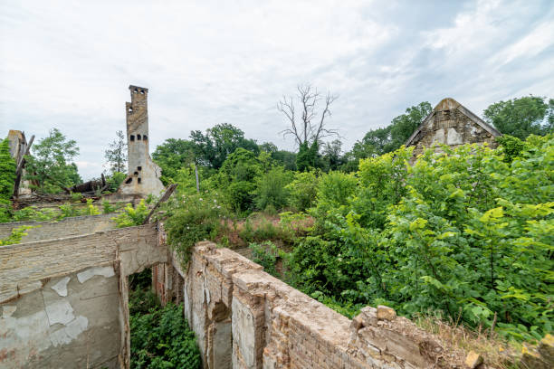 The abandoned Fernbach Castle, also known as Baba Pusta, was built in 1906 by Karol Fernbach for his own needs. Aleksa Santic, Serbia - June 06, 2021: The abandoned Fernbach Castle, also known as Baba Pusta, was built in 1906 by Karol Fernbach for his own needs. pusta stock pictures, royalty-free photos & images