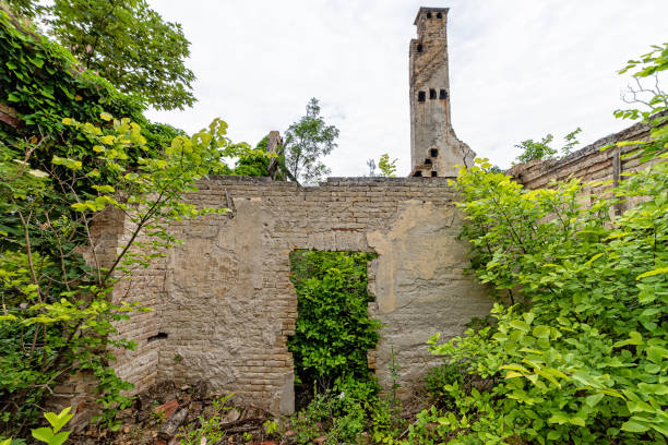 The abandoned Fernbach Castle, also known as Baba Pusta, was built in 1906 by Karol Fernbach for his own needs. Aleksa Santic, Serbia - June 06, 2021: The abandoned Fernbach Castle, also known as Baba Pusta, was built in 1906 by Karol Fernbach for his own needs. pusta stock pictures, royalty-free photos & images