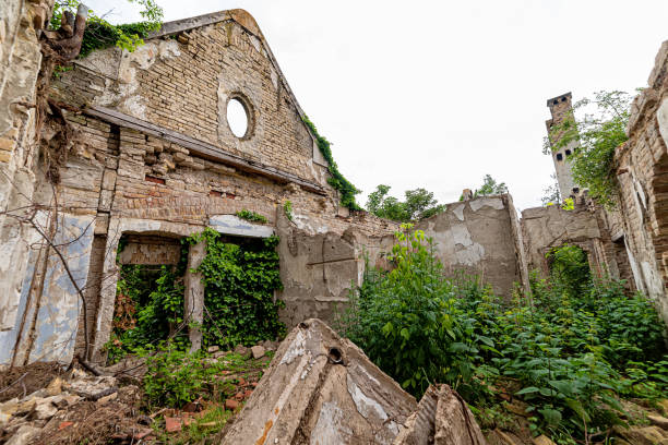 The abandoned Fernbach Castle, also known as Baba Pusta, was built in 1906 by Karol Fernbach for his own needs. Aleksa Santic, Serbia - June 06, 2021: The abandoned Fernbach Castle, also known as Baba Pusta, was built in 1906 by Karol Fernbach for his own needs. pusta stock pictures, royalty-free photos & images