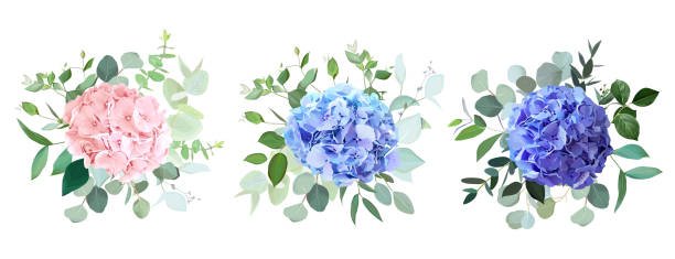 ilustrações, clipart, desenhos animados e ícones de azul, roxo, blush rosa hortênsia flores, vegetação esmeralda e eucalipto cartões de vetor de casamento - hydrangea flower old fashioned retro revival